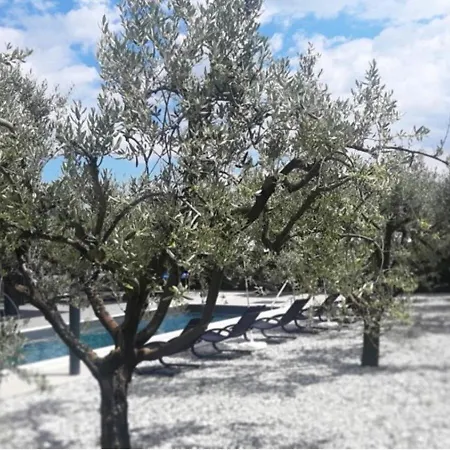 Zara Near Porec For 8 Persons With Private Pool Višnjan
